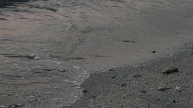 Wave