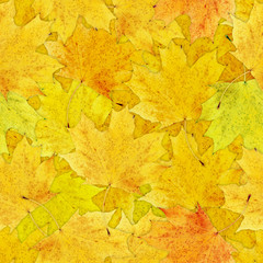 Naklejka na ściany i meble Autumn yellow leaves seamless background