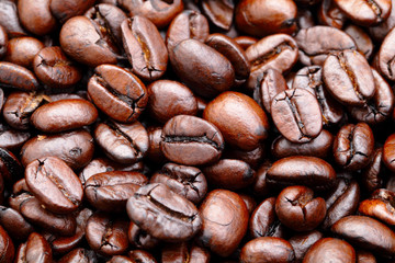 coffee bean background