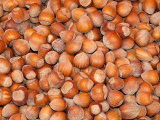 Background with food - nuts to be cracked