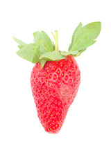 Strawberry with leaves