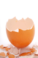 Eggshell