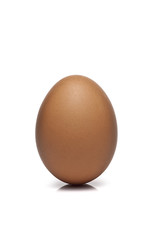 Egg