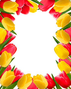 Colorful spring flower background