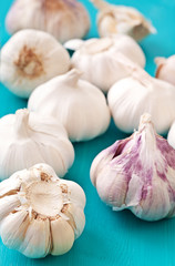 Garlic on a blue background