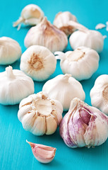 Garlic on a blue background