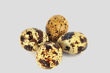 Obraz premium Перепелиные яйца