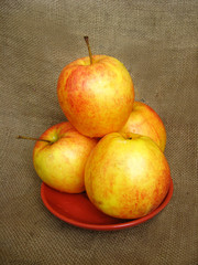 Four apples on the plate on the grey background