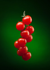 tomato branch with water drops on dark green background