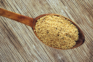 Miglio Panicum miliaceum