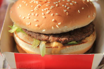 Hamburger in a carton box