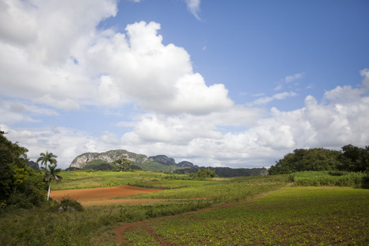 Vinales valley in Cuba