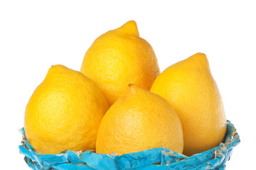 Group of lemons in a blue basket.