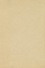 Vintage book blank page