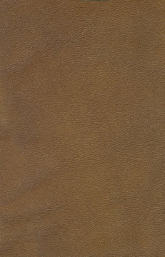Genuine leather background (outer side)