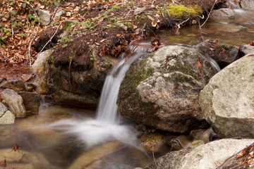 Montseny Natural Park