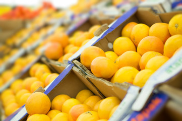 Variety of oranges in boxes in supermarket