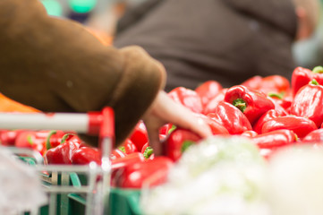 Varitey of peppers on boxes in supermarket