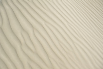 Fototapeta na wymiar Sanddünen im Nambung Nationalpark in Westaustralien