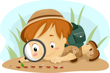 Kid Observing Ants