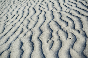Fototapeta premium Sanddünen im Nambung Nationalpark in Westaustralien