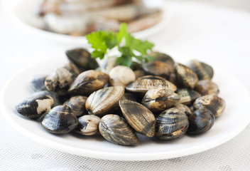 raw, large shells