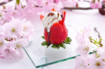 erdbeere,sahne und balsamico creme