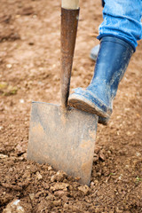 gardening