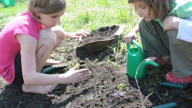 children watering young little raspberrycane plants together