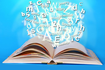 opened book of wisdom
