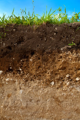 Fototapeta premium Soil