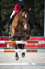 Show Jumping - 40730859