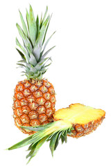 Full and slice of fresh pineapple