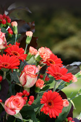 Flower Arrangement