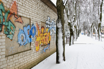 Walls graffiti and snowy lime tree trunk in winter