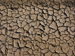 ausgetrocknete Pfütze 011