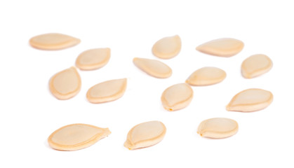 squash seeds isolated