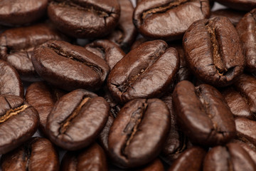 Close-up of coffee beans