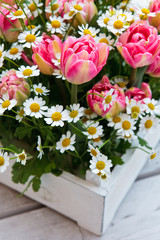 rosa Tulpen mit Kamille
