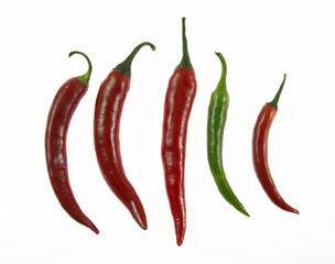 Chili 04