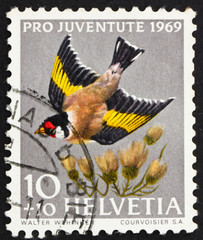 Postage stamp Switzerland 1969 European Goldfinch, Carduelis Car