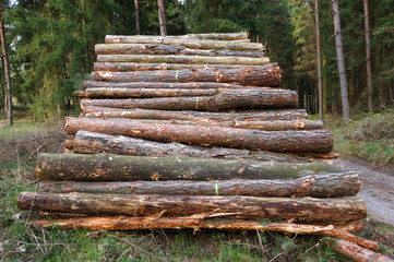 Stapel mit Baumst&auml;mmen