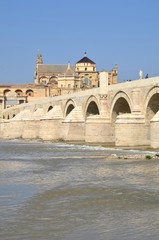 Puente romano con la Mezquita al fondo. Córdoba. España.