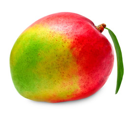 Mango isolated on white background