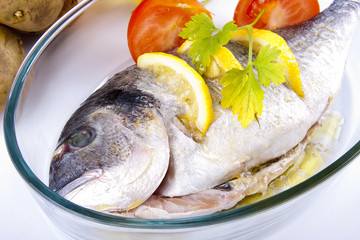 pescado crudo fresco con fondo blanco, dorada