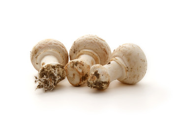 Champignons