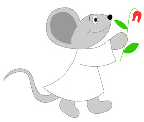 Maus