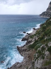 Capri - Falaise 1