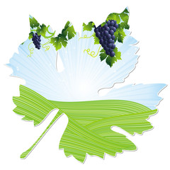 Obraz premium wine leaf frame
