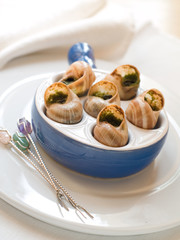 Snails